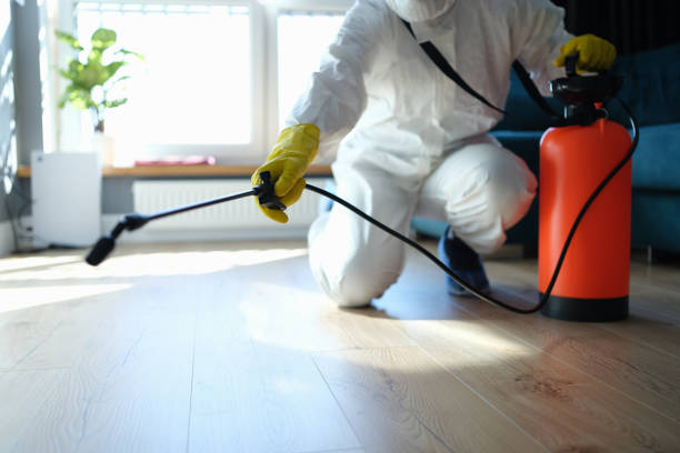 Reliable Odor Removal contractor in Sheldon, IL by Trauma Clean Pros